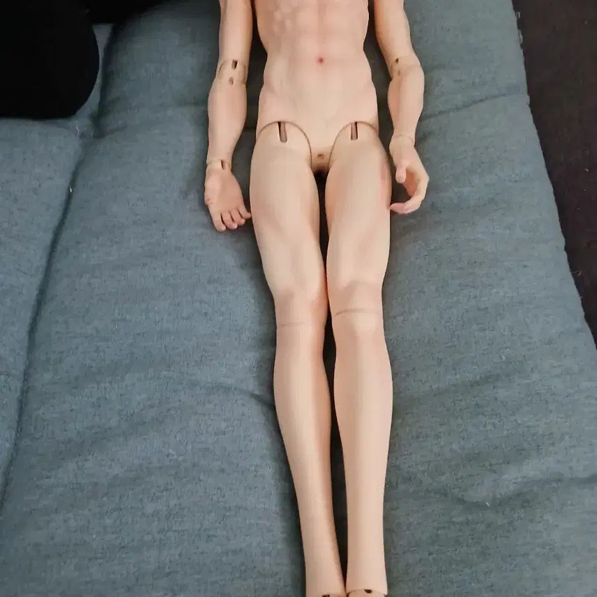 [BUNJANG] Doll Family DF_70 Normal BJD Body / 구관 바디 판매합니다