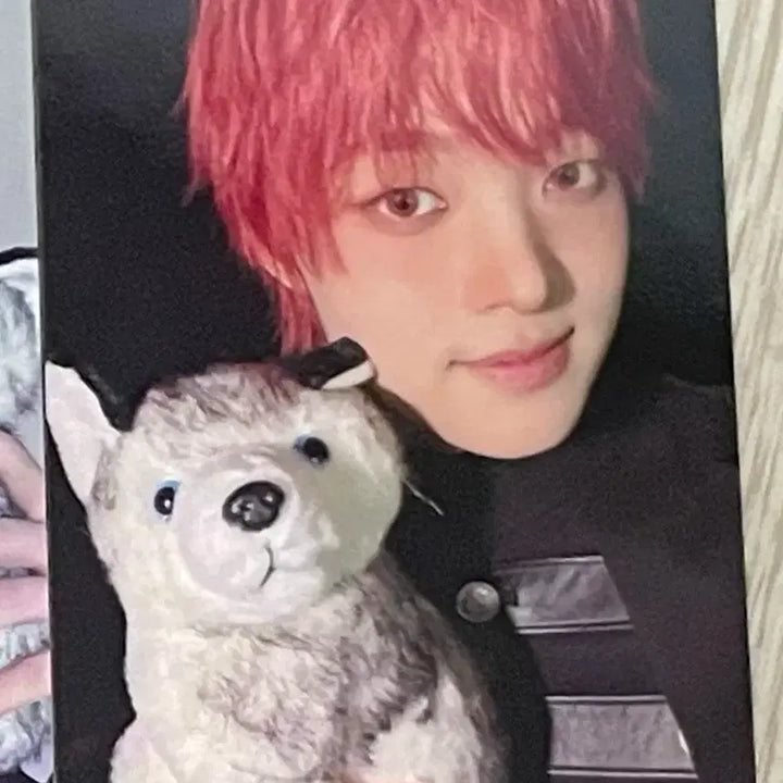 [BUNJANG] &amp;team andteam E-jojun Concert Tour Photocard / 앤팀 콘서트 투어 포카  &amp;team andteam 의주 ej 루네존