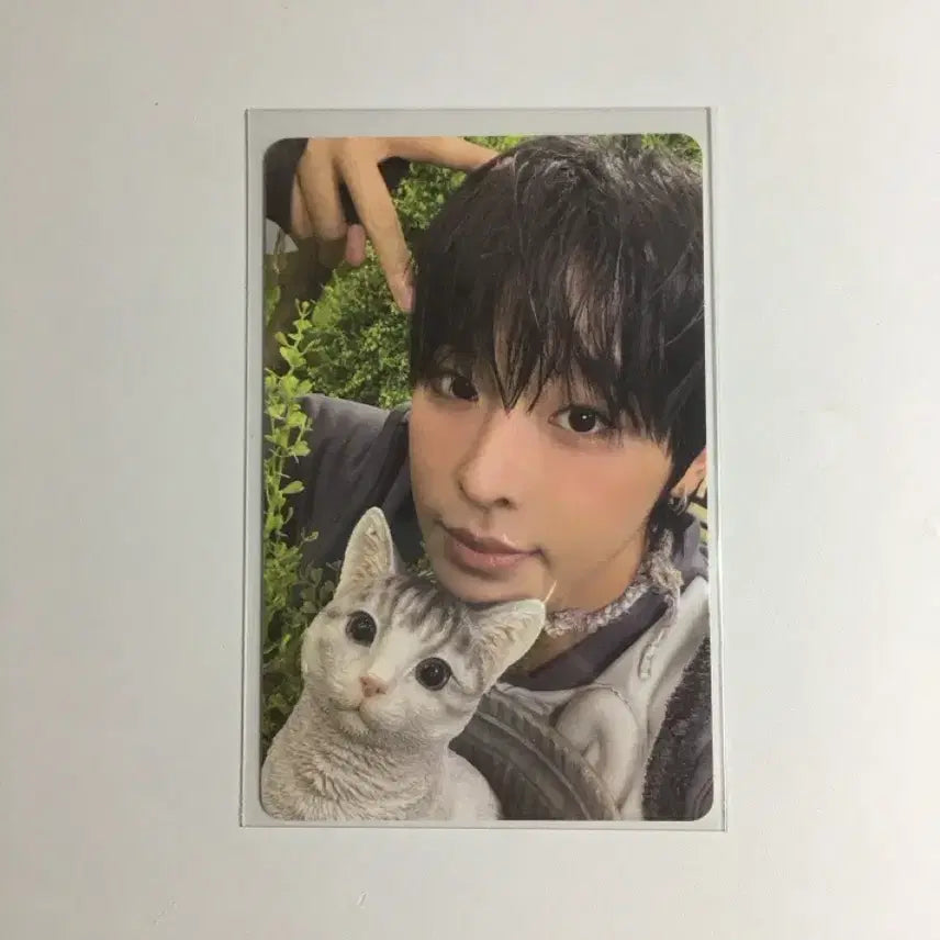 [BUNJANG] Riku Color Jewel Photocard / 컬러 쥬얼 리쿠 포카 양도