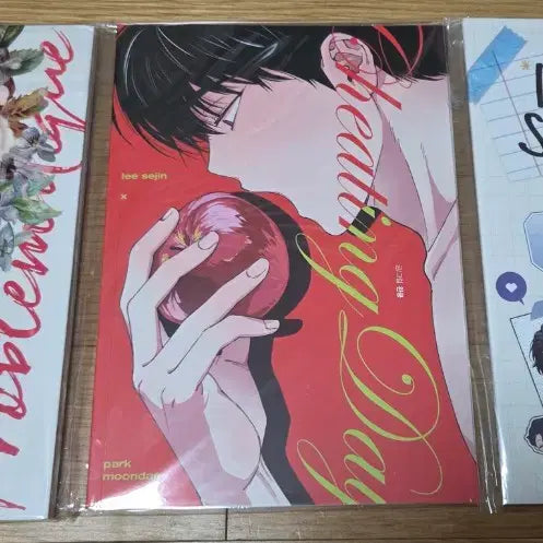 [BUNJANG] The Greatest Second Chance Web Novel Stickers and Fanbooks Bundle / 데못죽 큰세문대 큰문 복합모순 치팅데이 엋문 청려문대 회지 스티커 판매