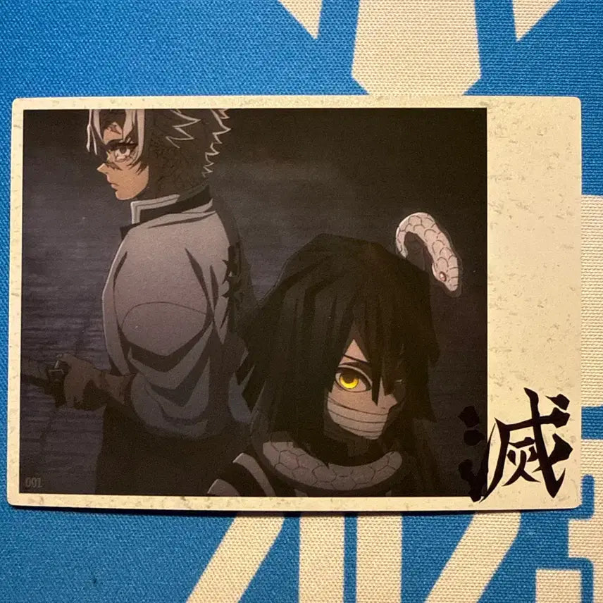 [BUNJANG] Demon Slayer Iguro Obanai &amp; Shinazugawa Sanemi Character Cards / 귀멸의 칼날 이구로 오바나이, 시나즈가와 사네미 카드