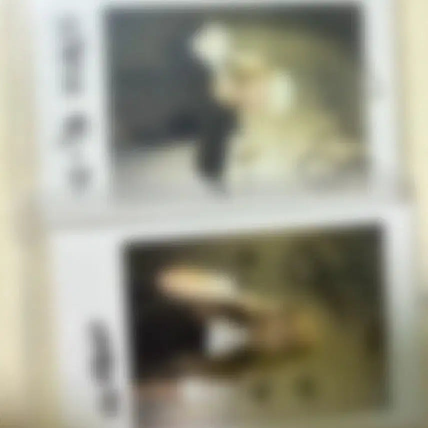 [BUNJANG] Ha Eun Signed Polaroid Photocard / 레이턴시 지지원 하은 싸인폴라로이드 싸폴 싸인폴라 김지원 포카 양도