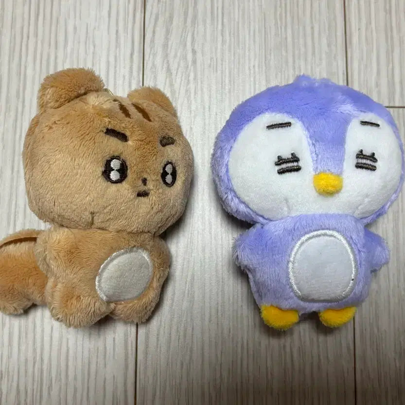 [BUNJANG] TXT &