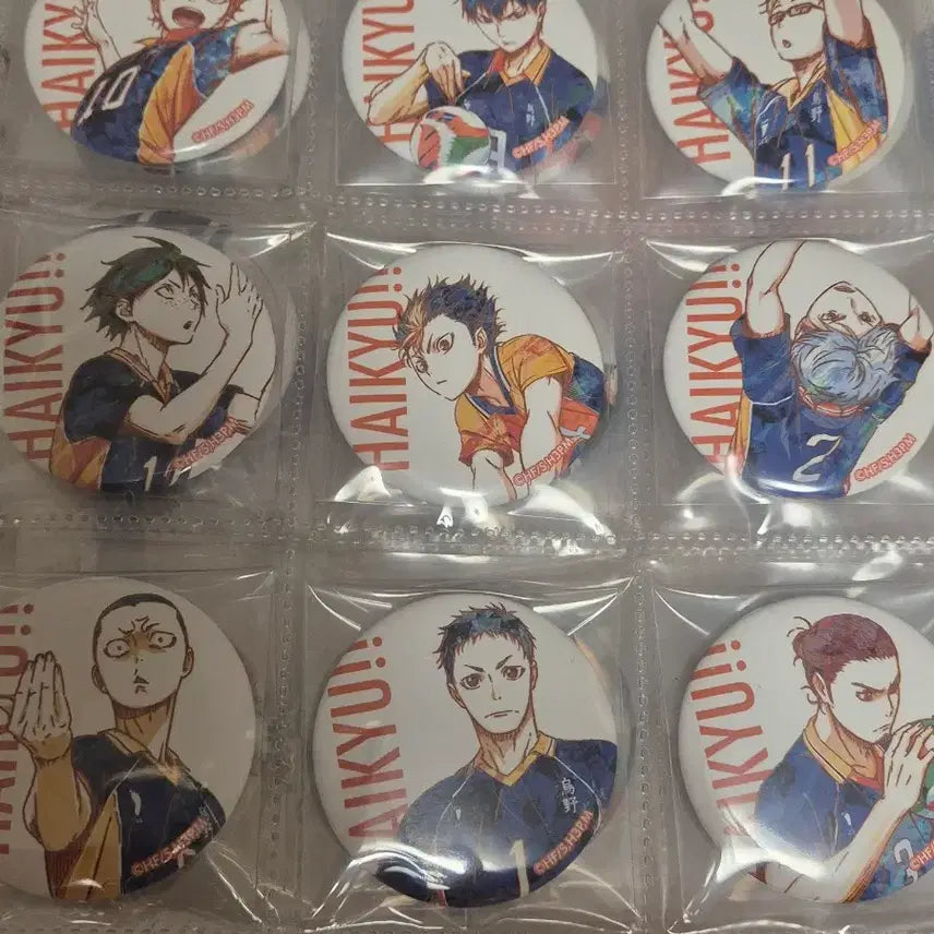 [BUNJANG] Haikyuu!! Ani Art Can Badge Bundle Set / 하이큐 Ani Art 캔뱃지 일괄