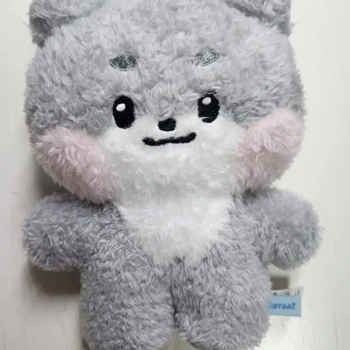 [BUNJANG] ZEROBASEONE Gunini Park Gunwook Plush / 제로베이스원 거니니