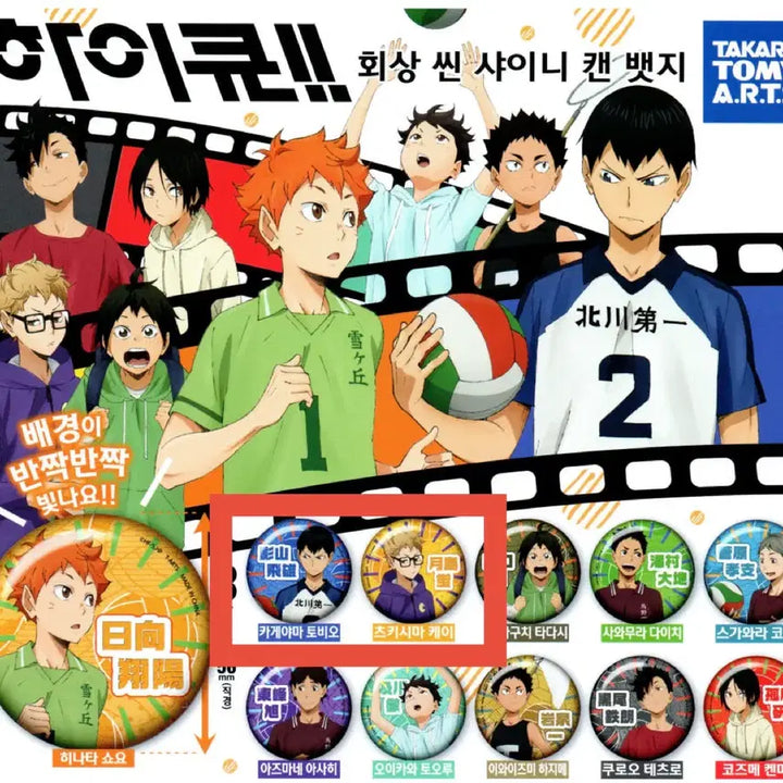 [BUNJANG] Haikyuu!! Chibi Tin Badge (Kageyama, Tsukishima) / 하이큐 치비 캔뱃지 팝니다(츠키시마)