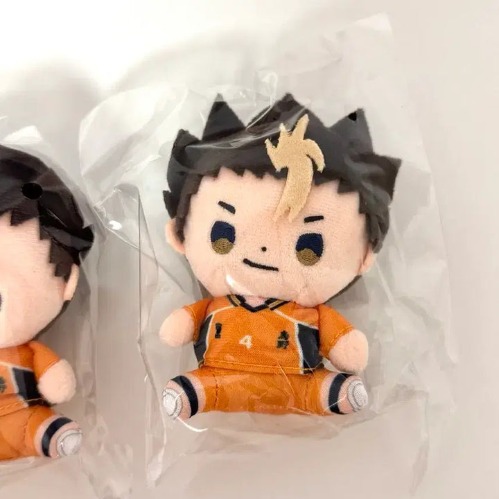 [BUNJANG] Haikyuu!! Mochibi Plush Nishinoya Yuu / 하이큐 모치비 누이 니시노야 유 미개봉 새상품