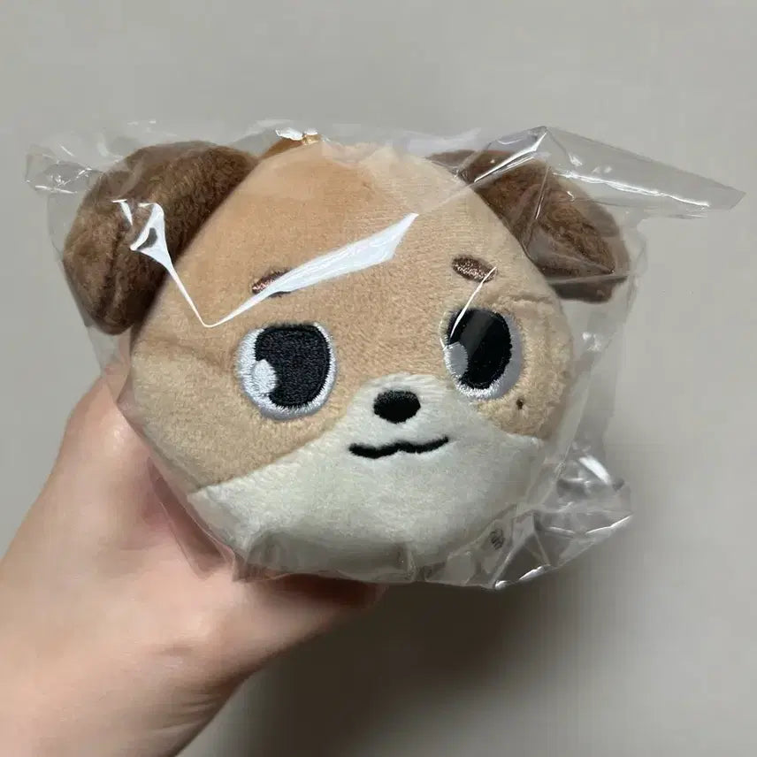 [SOLD OUT] 원가이하) 데이식스 데케이드 일본 엠디 라운드 백참 (미개봉)