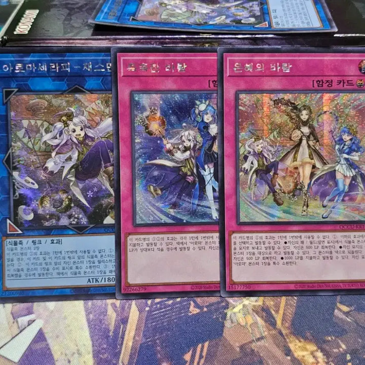 [BUNJANG] Yu-Gi-Oh! Aromaseraphy Rosemarry Quaking (SR) - 2011 / 유희왕 아로마세라피 로즈마리 쿼싴  