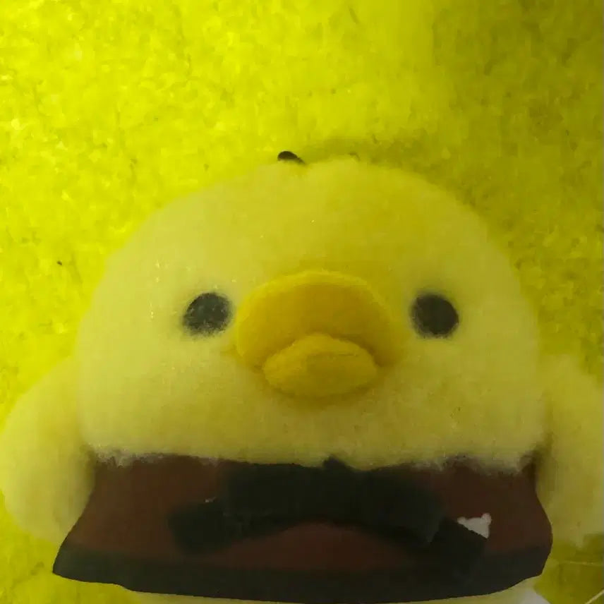 [BUNJANG] Kiiroitori Cafe Plush / 키이로이토리 카페 인형 판매합니다