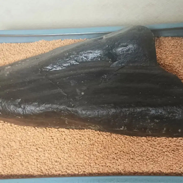 [BUNJANG] Namhan River Plain Stone / 수석(남한강)