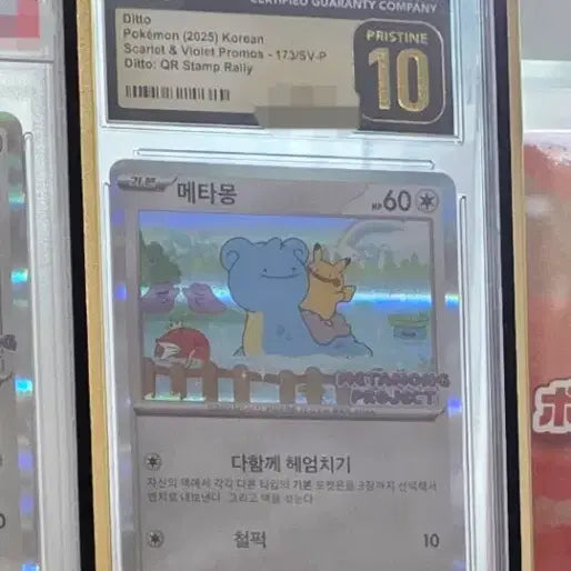 [BUNJANG] Pokemon Ditto CGC 10 Pristine Promo with Case / 오늘만)포켓몬 메타몽 cgc10 프리스틴 프로모 케이스 포함