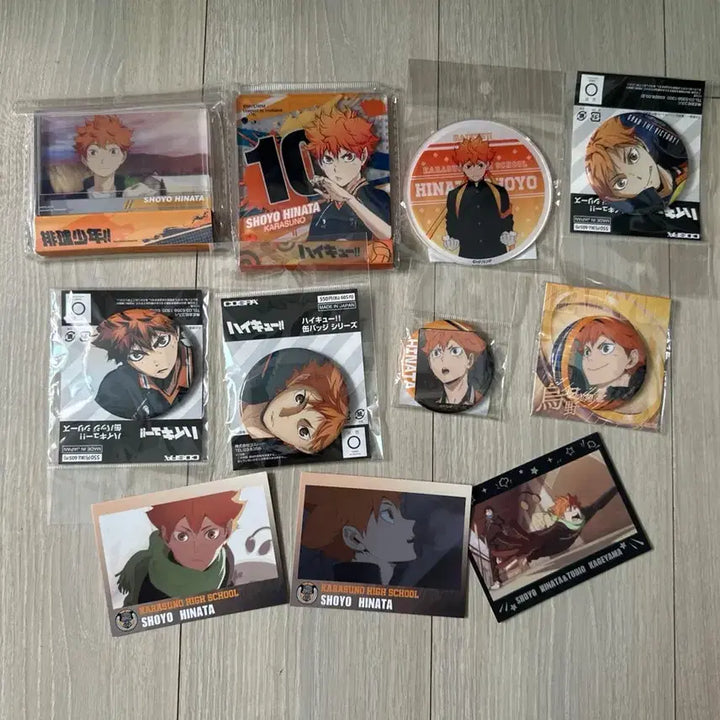 [BUNJANG] Haikyuu!! Shoyo Hinata Goods / 하이큐 히나타 쇼요 굿즈