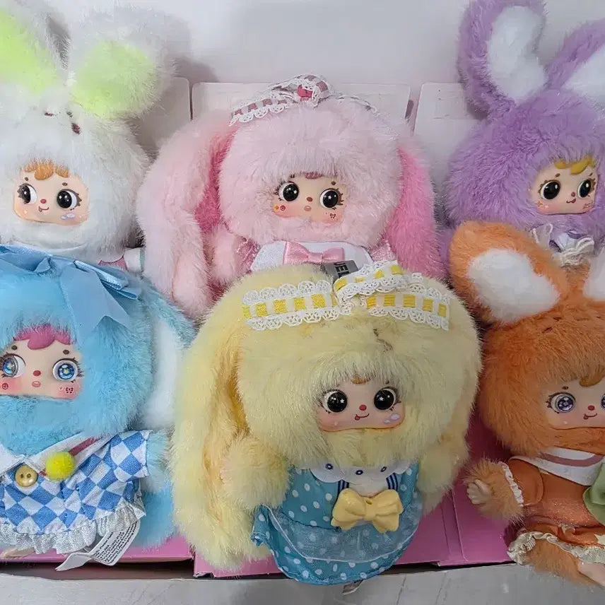 [BUNJANG] Samuel Fluffy Bunny Family 50 Full Box / 사무엘 플러피 버니 패밀리 50 풀박