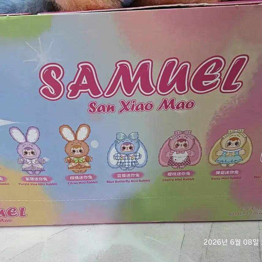 [BUNJANG] Samuel Fluffy Bunny Family 50 Full Box / 사무엘 플러피 버니 패밀리 50 풀박