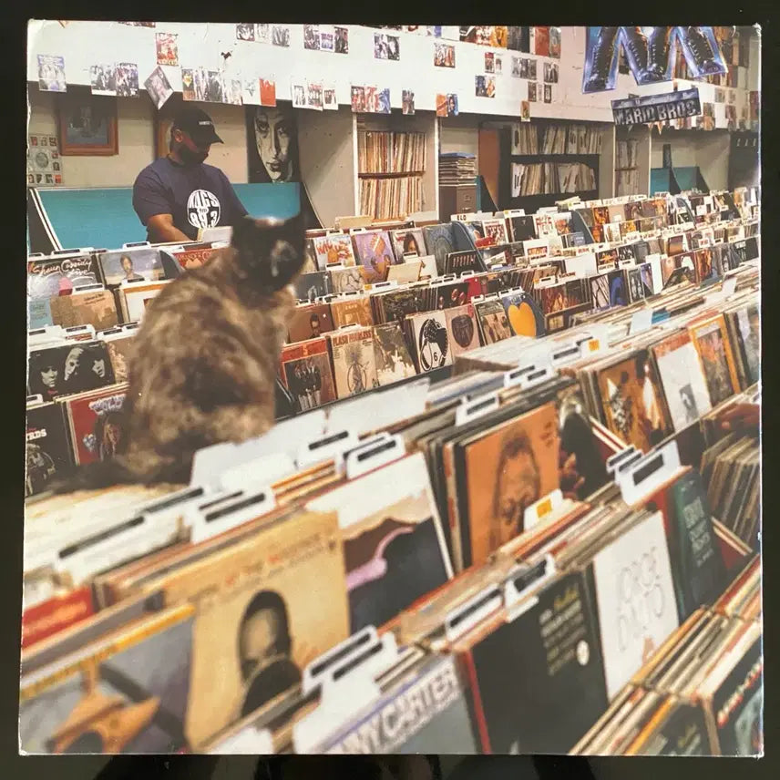 [BUNJANG] DJ Shadow Endtroducing..... 2LP Vinyl / DJ Shadow Endtroducing 2LP