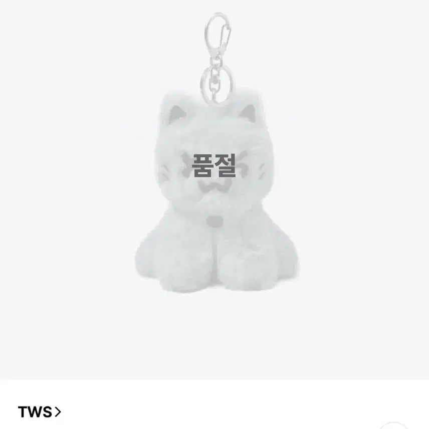 [BUNJANG] TWS Dust Cat Keyring (Unsealed) / 투어스 먼지투냥이 키링