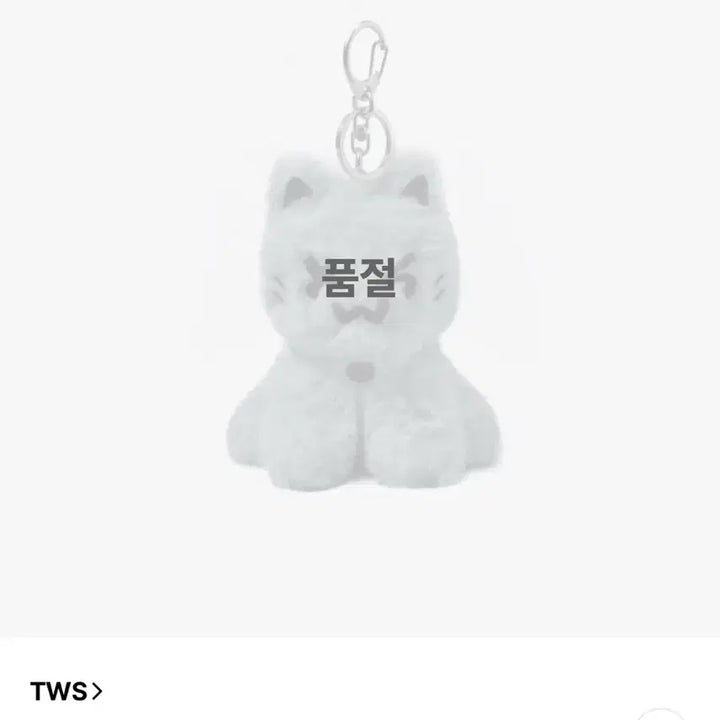 [BUNJANG] TWS Dust Cat Keyring (Unsealed) / 투어스 먼지투냥이 키링