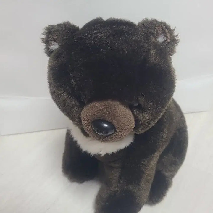 [BUNJANG] Teddy Bear Museum Moon Bear Plush / 테디베어 뮤지엄 반달가슴곰 인형