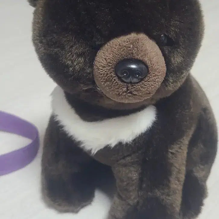 [BUNJANG] Teddy Bear Museum Moon Bear Plush / 테디베어 뮤지엄 반달가슴곰 인형