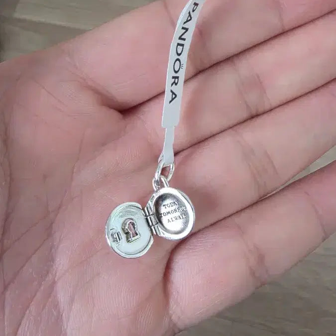 [BUNJANG] Pandora 793066C01 Charm / 판도라 참 793066C01 새상품
