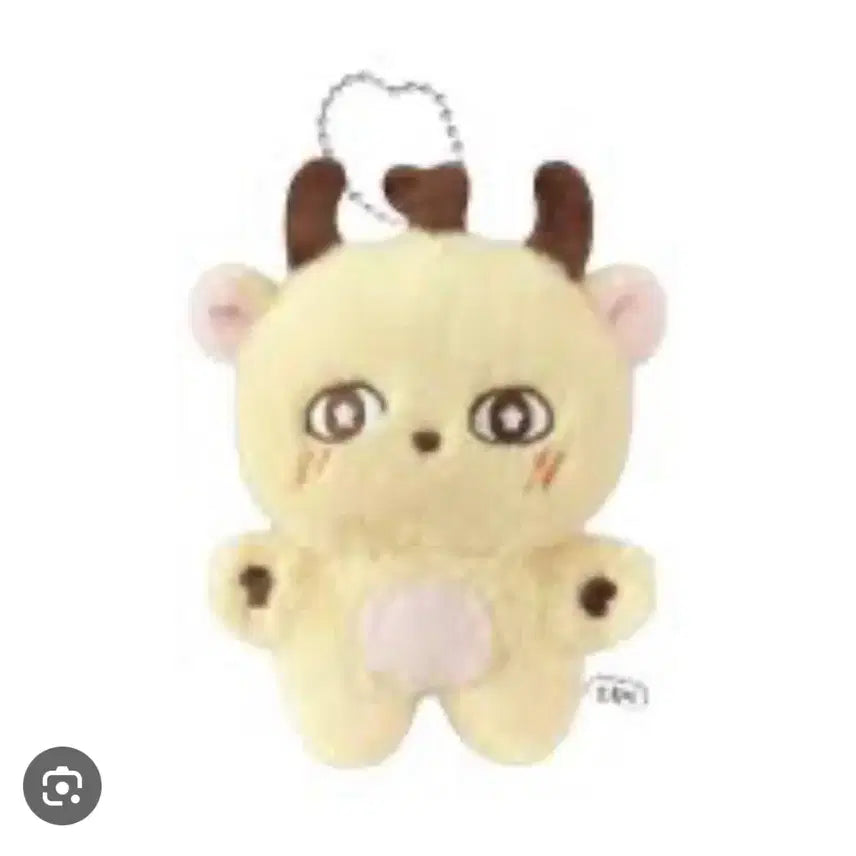 [BUNJANG] Park Jihoon So-sim-i Doll + Photocard / 박지훈 인형 소심이+포카 양도해용
