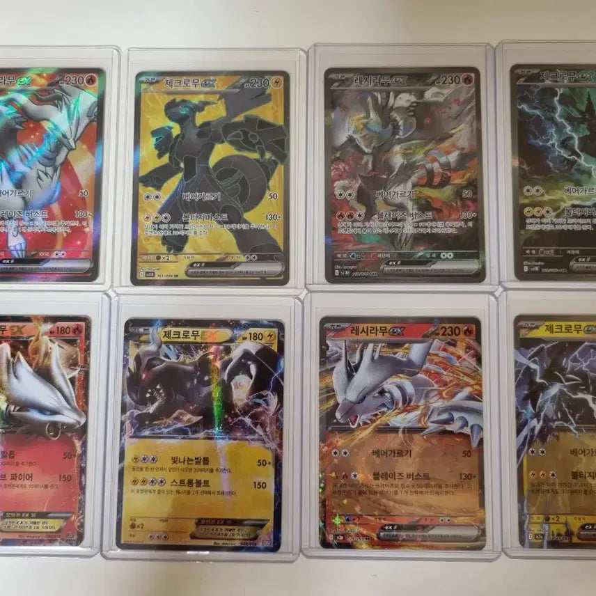 [BUNJANG] Reshiram &amp; Zekrom Pokemon Card Collection / 포켓몬카드 레시라무 제크로무 모음