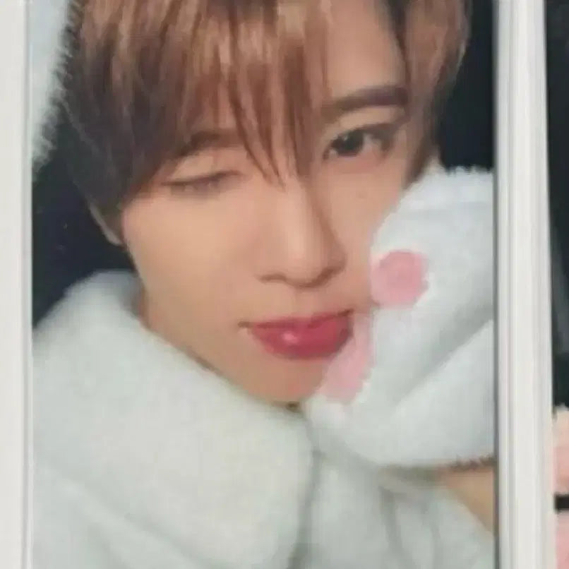 [BUNJANG] NCT WISH Sion Photocard / 엔시티위시 뮤직웨이브 시온 포카양도