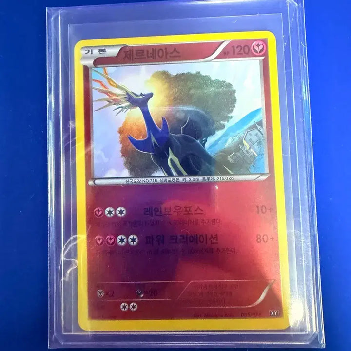[BUNJANG] Pokemon Card Yveltal XY Mirror Ancient Card / 포켓몬카드 제르네아스 XY 미러 고대카드