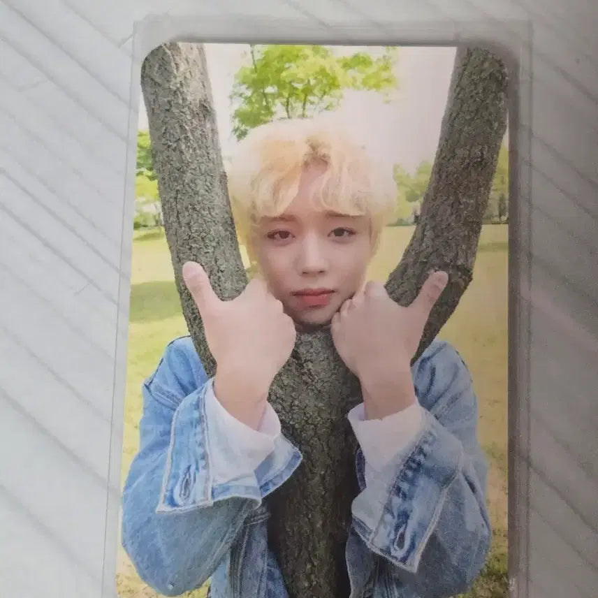 [BUNJANG] Park Ji Hoon 2021 Birthday Cafe Special Edition Double-Sided Photocard / 박지훈 2021 생일카페 특전 포토카드 여준 멀푸봄
