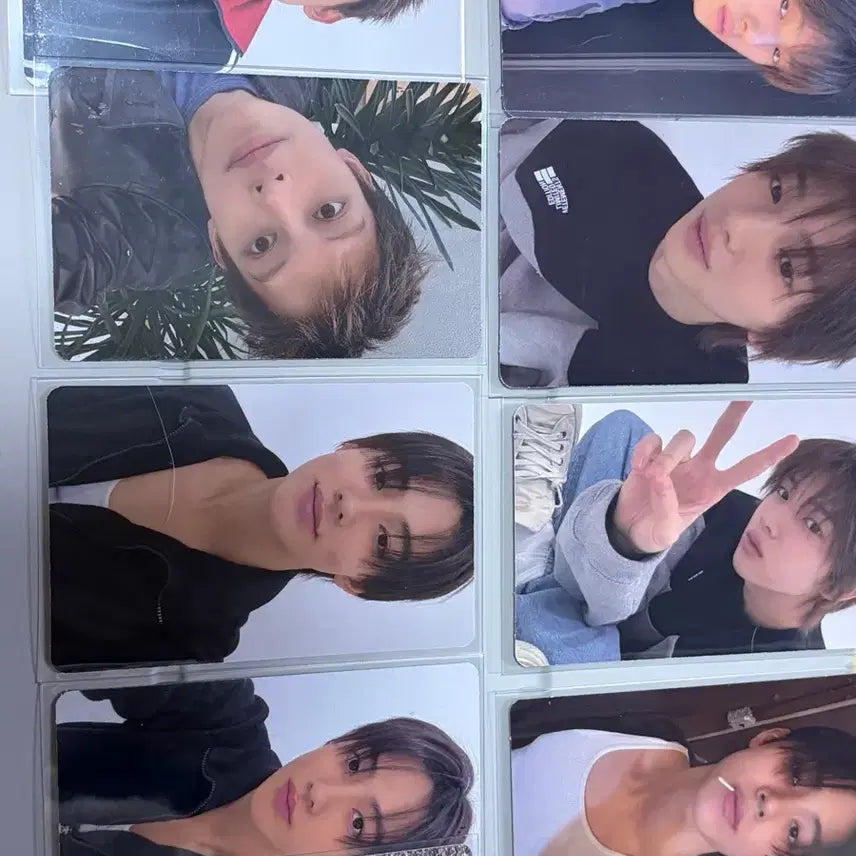 [BUNJANG] Cortice Bundle Set Photocard / 코르티스 포카 일괄
