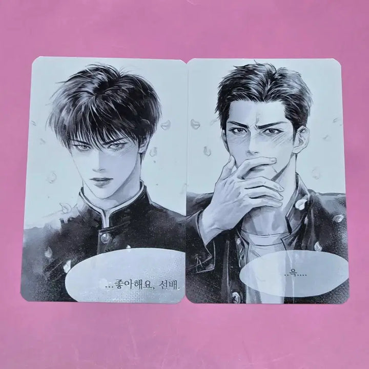 [BUNJANG] Slam Dunk Seotaeung Jeongdaeman Double-Sided Photocard Set / 슬램덩크 십육님 서태웅 정대만 태웅대만 포카