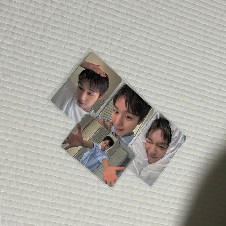 [BUNJANG] Park Ji Hoon Photocard / 박지훈 포토카드