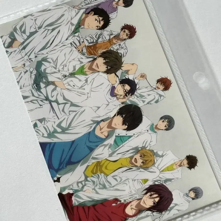 [BUNJANG] Free! Postcard / Free! 프리 엽서