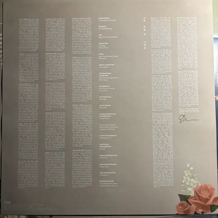 [BUNJANG] Shawn Mendes LP (Used) / 숀 멘데스 shawn mendes Lp