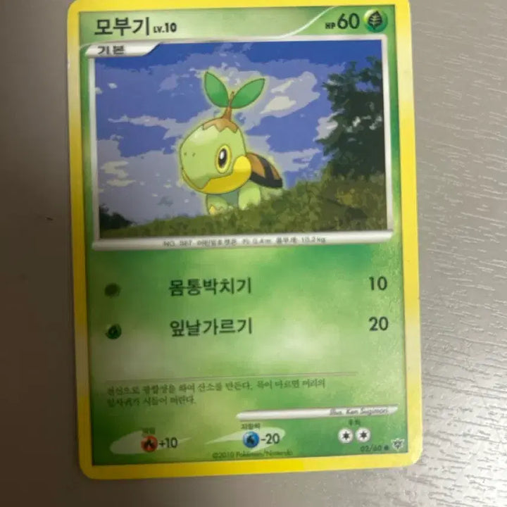 [BUNJANG] 2010 Pokemon Card Turtwig Basic / 2010 포켓몬 카드 모부기 기본