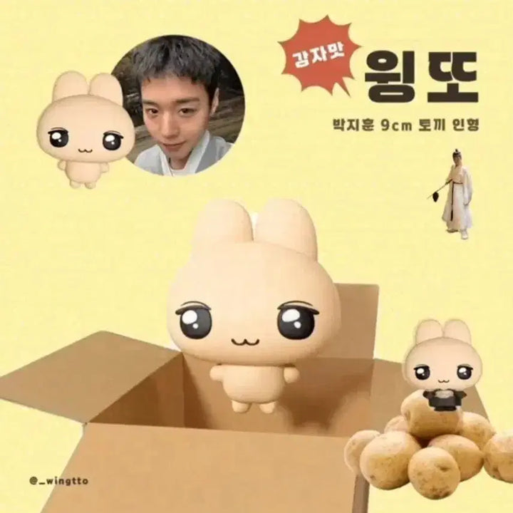 [BUNJANG] Park Jihoon Wingtto Doll with Hat / 박지훈 윙또 인형 원가 이하 양도 (모자포함) /가격내림