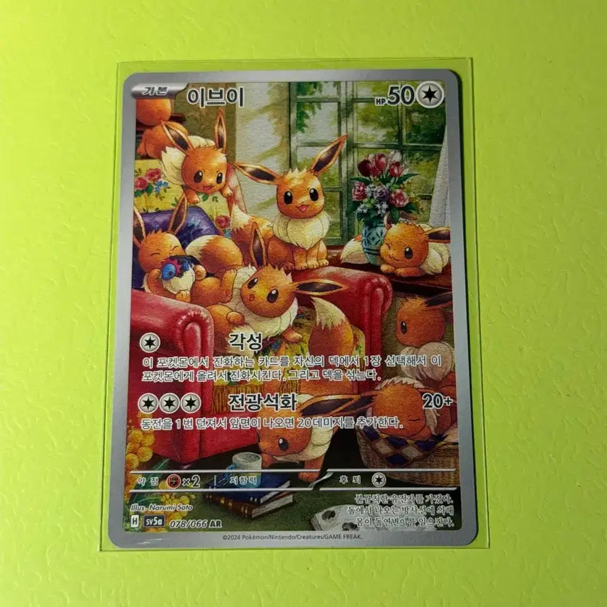 [BUNJANG] Pokemon Card Set / [AR] 이브이 포켓몬카드