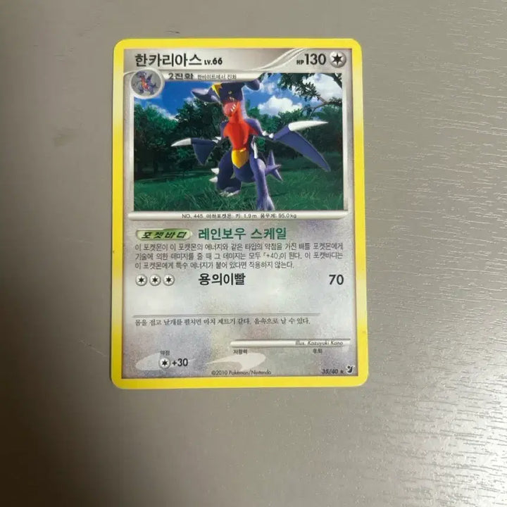 [BUNJANG] 2010 Pokemon Card Garchomp Evolution / 2010 포켓몬 카드 한카리아스 2진화