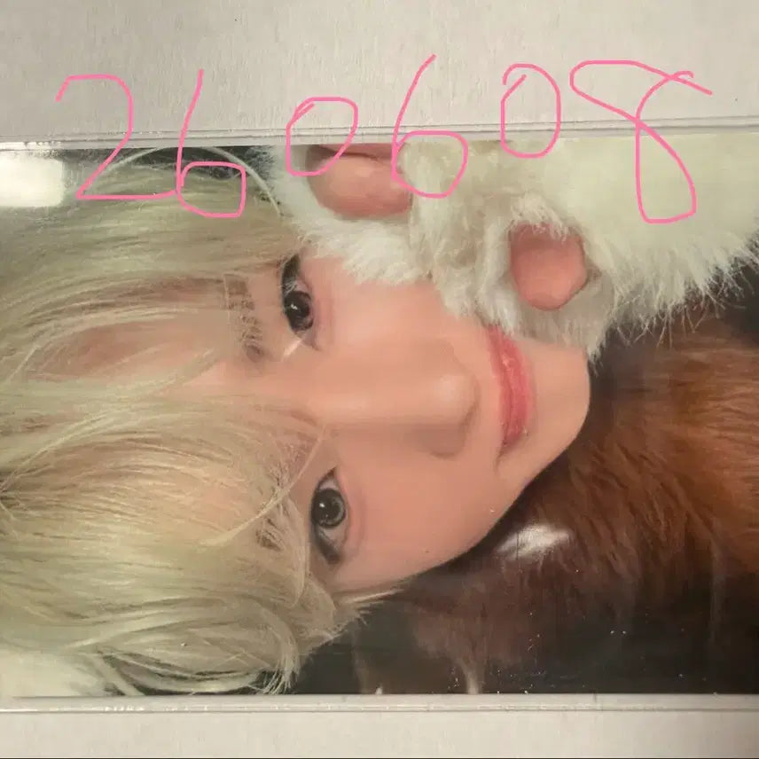 [BUNJANG] Sakura Miyawaki Animal Costume Photocard / 사쿠야 뮤웨 동물옷 포카