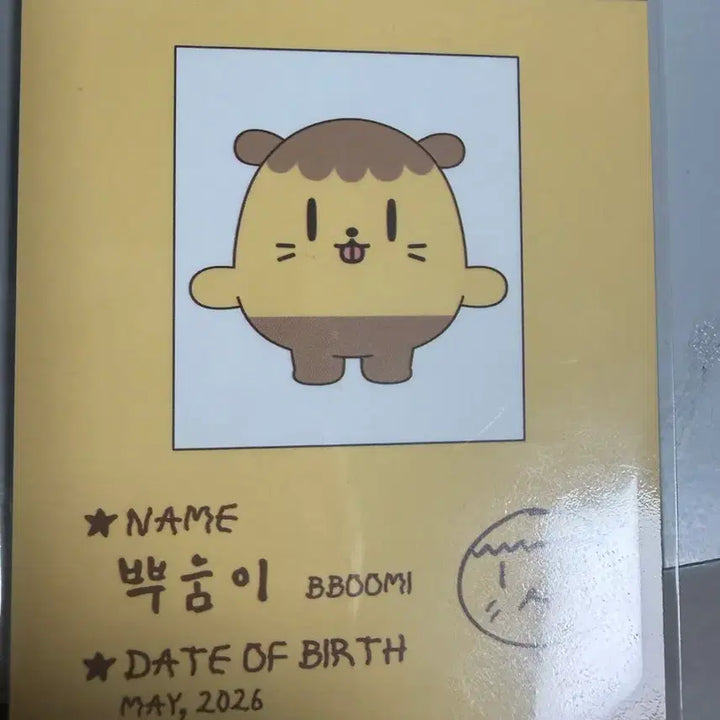 [BUNJANG] Park Ji Hoon Soshimi Ppooomi Photocard / 박지훈 소심이 팝업 뿌움이 포카