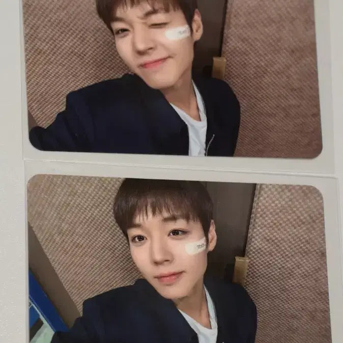 [BUNJANG] Park Ji Hoon Withmuu 2nd Fan Sign Event POB Horizontal Photocard / 박지훈 위드뮤 2차대면팬싸 미공포 가로포카