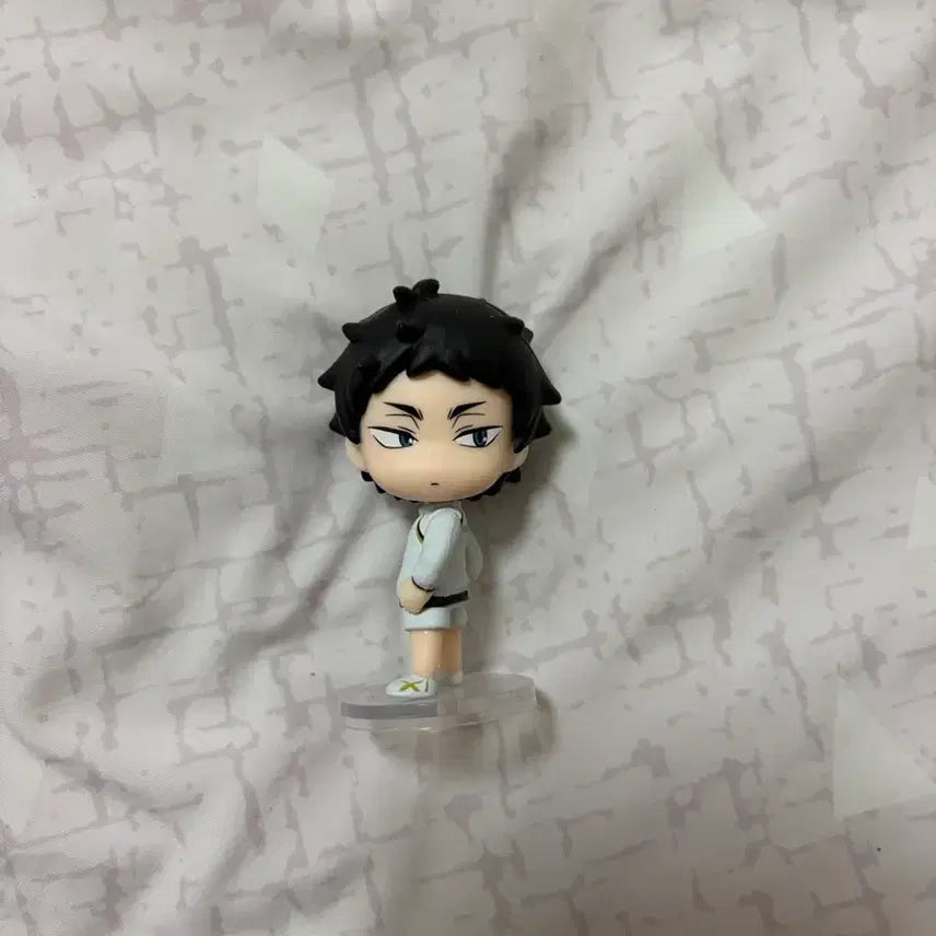 [BUNJANG] Haikyuu!! Akaashi Keiji Figure / 하이큐 뒤돌아봐요 아카아시