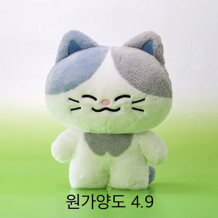 [BUNJANG] NCT Dream DREAMS Chullyo "Romyo" Large Flat Cushion Doll / 엔시티드림 드리미즈 천러 러묘 대형 플랫 쿠션 대왕 인형 원가양도