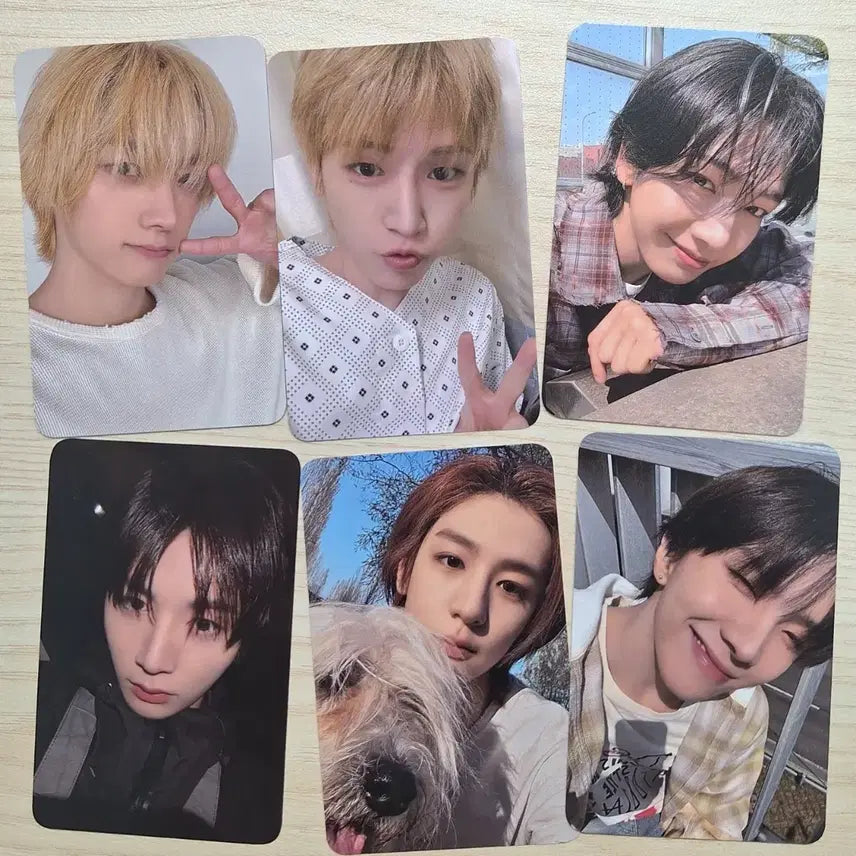 [BUNJANG] BOYNEXTDOOR Showcase Photocard Split Set / (일괄가능)보넥도 쇼케이스 역조공 포카 분철