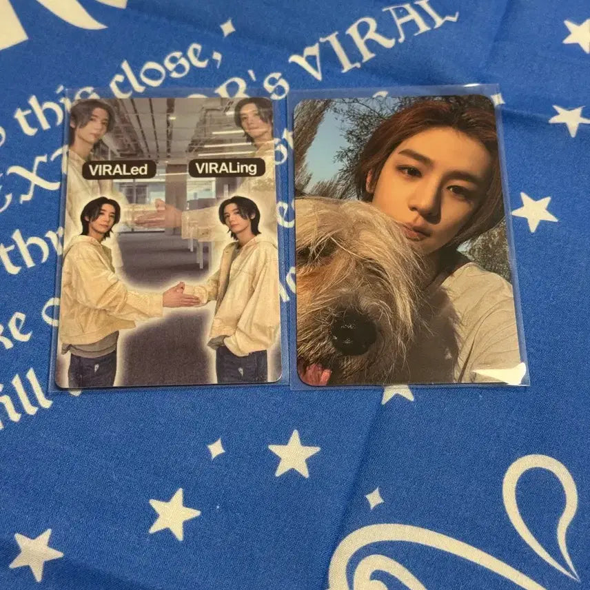[BUNJANG] BOYNEXTDOOR Leehan Home Showcase Fan Event Photocard Bundle Set / 이한) 보넥도 홈 쇼케이스 역조공 포카 + 바이럴 포카 일괄