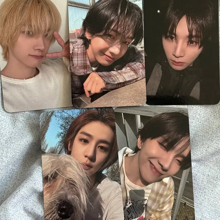 [BUNJANG] BOYNEXTDOOR Showcase Reverse Fan Support Photocard / 보넥도 쇼케이스 역조공 포카 양도