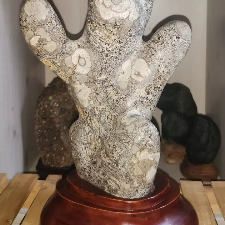 [BUNJANG] Camellia Pattern Cheongsong Flower Stone (Suseok) / 동백문양 청송꽃돌 수석