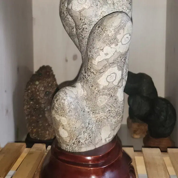 [BUNJANG] Camellia Pattern Cheongsong Flower Stone (Suseok) / 동백문양 청송꽃돌 수석