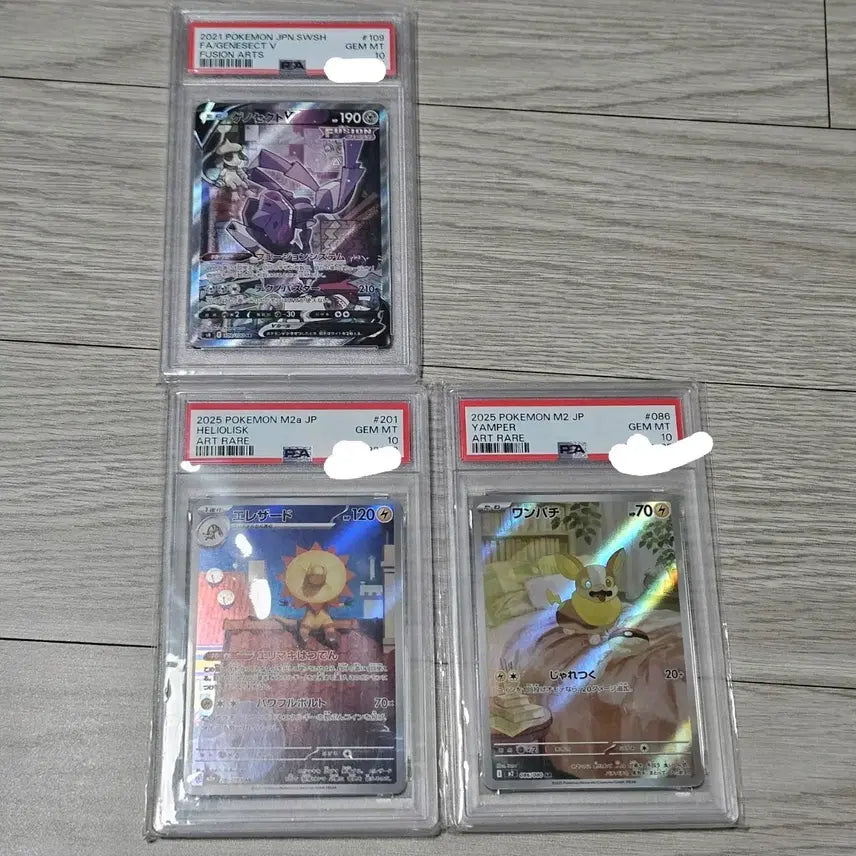 [BUNJANG] Pokemon Card Set - Genosect V, Illadud, Patrat (PSA 10 Graded) / 포켓몬카드 psa10등급 일판 2025 일레도리자드ar